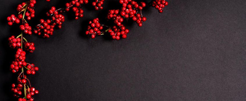Artificial guelder-rose black background with copy space
