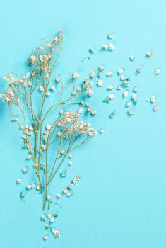Flowers composition. Gypsophila flowers on pastel blue background. Flat lay, top view