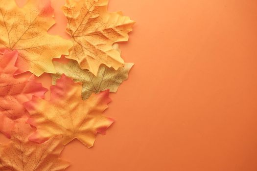 autumn maple leaves on orange background, top down.
