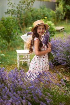 Beautiful long hair girl near lavender bushes at the garden. The girl is walking in the yard and collect flowers. A girl in a hat and dress.