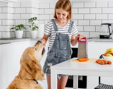 Preteen girl grinds carrot using grater and feeds golden retriever dog at kitchen. Pretty kid child and pet doggy with vegetables at home