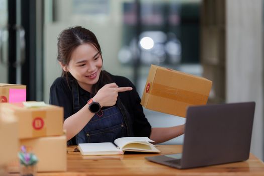 Portrait of modern Asian SME business woman entrepreneur at home office.