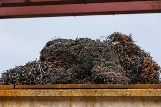pile of metal swarf on blue sky background, close-up.