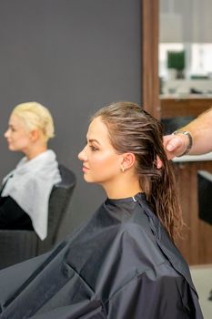 Young woman with wet long hair receiving hairstyle in a hair salon