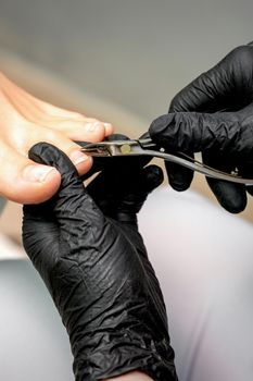 Closeup of a pedicure master is cutting and removing cuticle with nail tongs on female toes in a nail salon