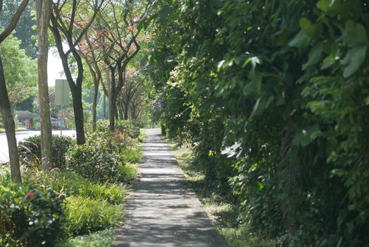 Rainy Day in a empty park in signapore ,