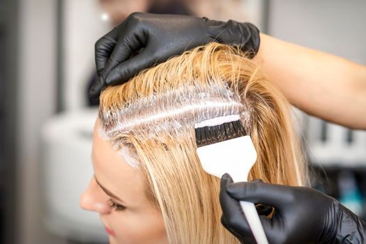 The hairdresser dyeing blonde hair roots with a brush for a young woman in a hair salon