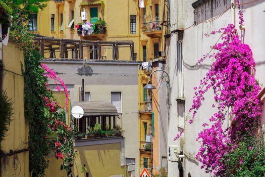 Day view of typical colorful buildings with balconies and decorative bougainvillea on the wall in Campania region Naples, Italy.