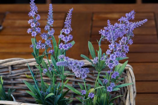 lavender plants in a wicker basket on a wooden table