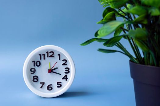 White alarm clock set at twenty past two with potted plant on blue background. Copy space. Time change concept.