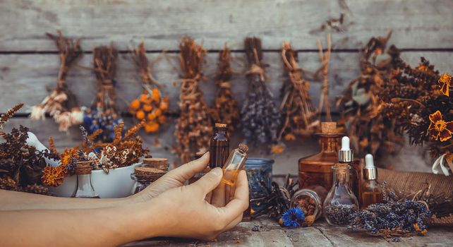 Medicinal herbs and tinctures homeopathy. Selective focus. Nature.