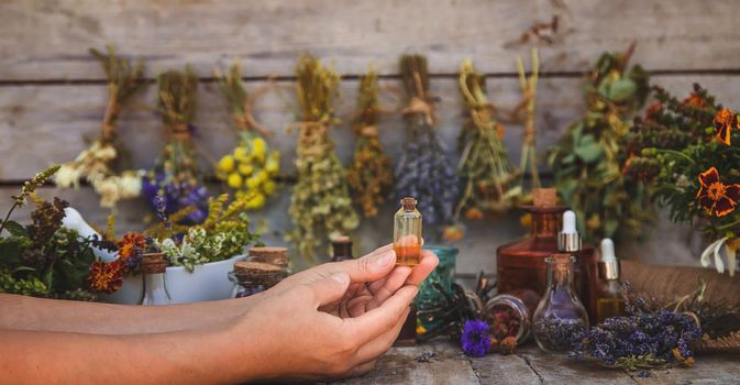 Medicinal herbs and tinctures homeopathy. Selective focus. Nature.