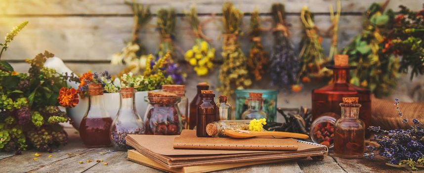 Medicinal herbs and tinctures homeopathy. Selective focus. Nature.