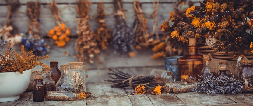 Medicinal herbs and tinctures homeopathy. Selective focus. Nature.