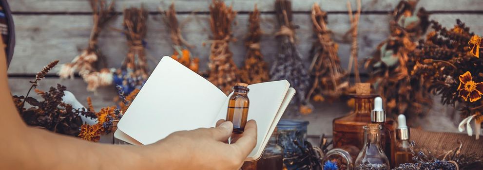 Medicinal herbs and tinctures homeopathy. Selective focus. Nature.