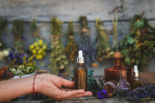 Medicinal herbs and tinctures homeopathy. Selective focus. Nature.