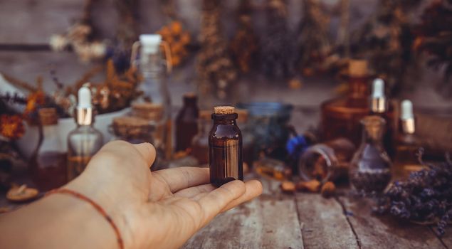 Medicinal herbs and tinctures homeopathy. Selective focus. Nature.