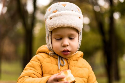 Close Up Portrait Of Little Cute Preschool Minor Boy In Hat With Ear Flaps On Yellow Fallen Leaves Eats Red Apple Look At It In Cold Weather In Fall Park. Childhood, Family, Motherhood, Autumn Concept.
