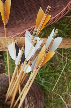 Arrows in a wicker basket. Vertical photo.