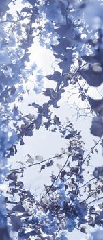 Flower background, spring nature and botanical beauty concept - Blue floral composition