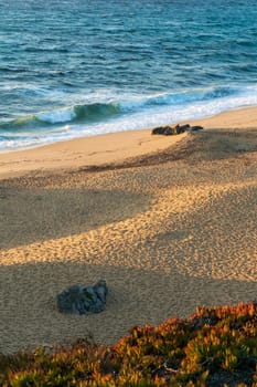 Deserted sandy beach of the atlantic ocean in the rays of the setting sun top view