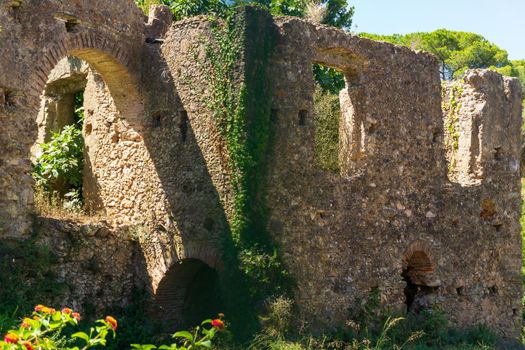 Ancient ruins overgrown with plants background