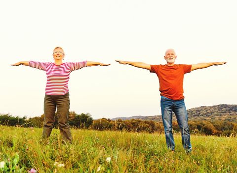 Smiling active senior couple stretching and exercising together in the park