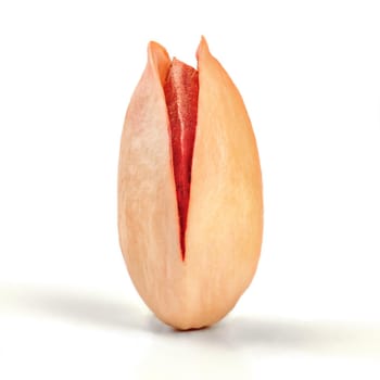 Single roasted red Turkish pistachio in cracked shell isolated on white background.