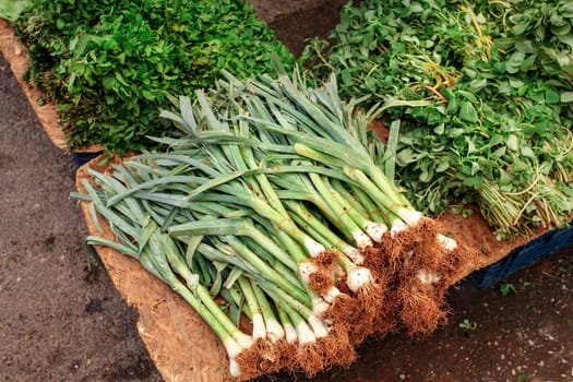Bunch of spring onions, valerianella (corn salad) and mint leaves displayed on food market. Kyrenia, Cyprus.