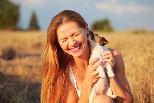 Young brunette woman, holding Jack Russell terrier puppy, that is chewing and licking her ear, so she smiles, sunset lit wheat field in background.