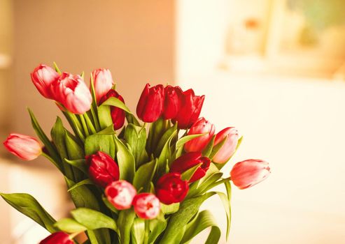 Bouquet of tulips in bloom - mothers day, springtime and international womens day concept. Brighten up your home with flowers