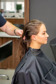 Young woman with wet long hair receiving hairstyle in a hair salon