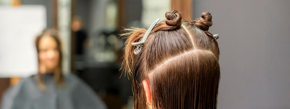 Back view of young brunette woman with split hair in sections in a hair salon