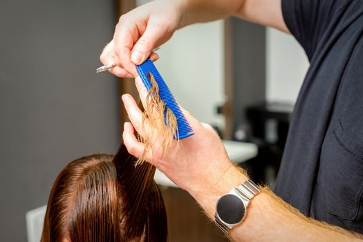 Hairdresser's hands with comb and scissors cut wet female hair in a hair salon