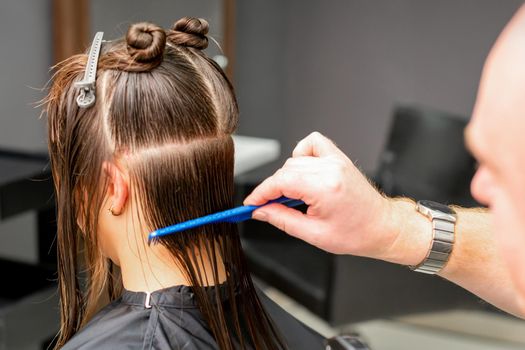 Rear View of male hairdresser combing wet hair of young caucasian woman divides into sections in a hair salon