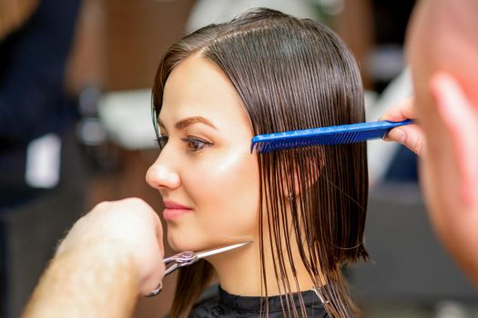 Male hairdresser cuts wet hair of young caucasian woman combing with a comb in a hair salon