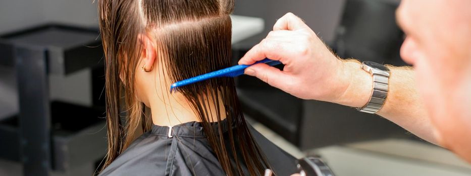 Rear View of male hairdresser combing wet hair of young caucasian woman divides into sections in a hair salon