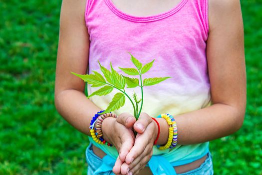 Children take care of nature tree in their hands. Selective focus. nature