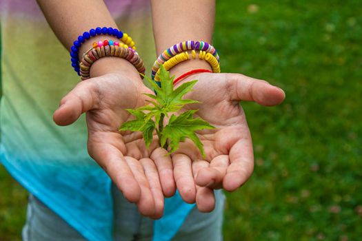 Children take care of nature tree in their hands. Selective focus. nature