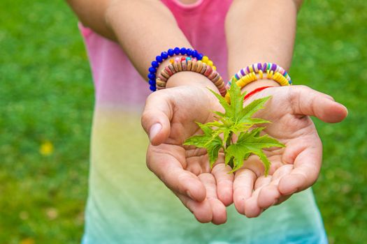 Children take care of nature tree in their hands. Selective focus. nature