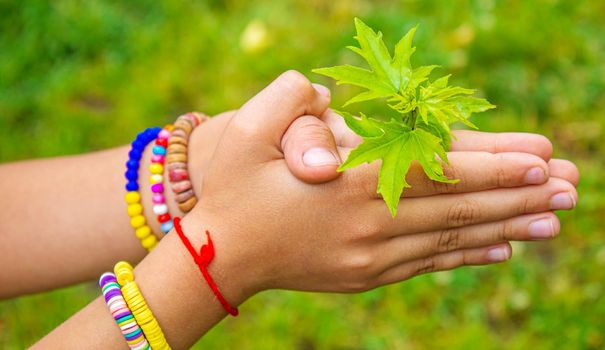 Children take care of nature tree in their hands. Selective focus. nature