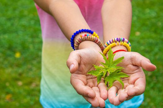 Children take care of nature tree in their hands. Selective focus. nature