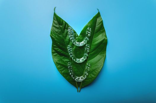Top view several Invisible modern removable braces or aligners for teeth on a blue background with green leaves.