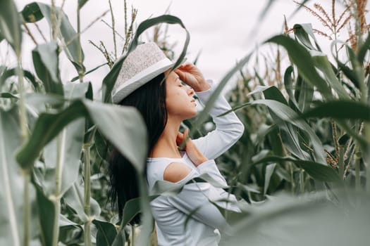 A brunette girl in a white dress in a cornfield. The concept of harvesting.