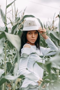 A brunette girl in a white dress in a cornfield. The concept of harvesting.