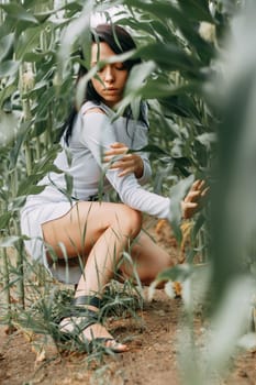 A brunette girl in a white dress in a cornfield. The concept of harvesting.