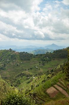 Beautiful landscape in southwestern Uganda, at the National Park, Rwanda. Copy Space. Travel