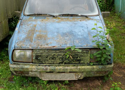 The front of a faulty abandoned blue car covered in rust and mildew. Blue abandoned car covered with mold.