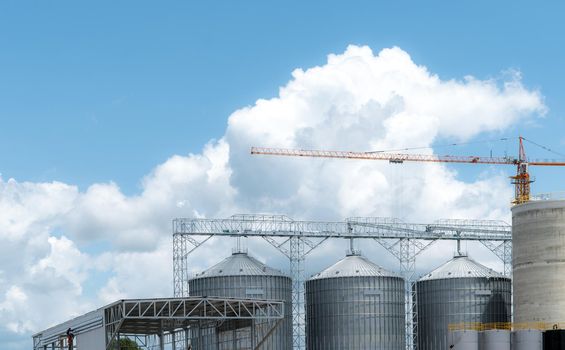 Animal feed factory construction site. Agricultural silo at feed mill factory. Tank for store grain in feed manufacturing. Seed stock tower for commercial animal feed production. Animal food industry.