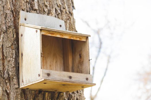 Bird feeders. Feeding birds in the forest. Birdhouse on a tree. Caring for animals in the wild.